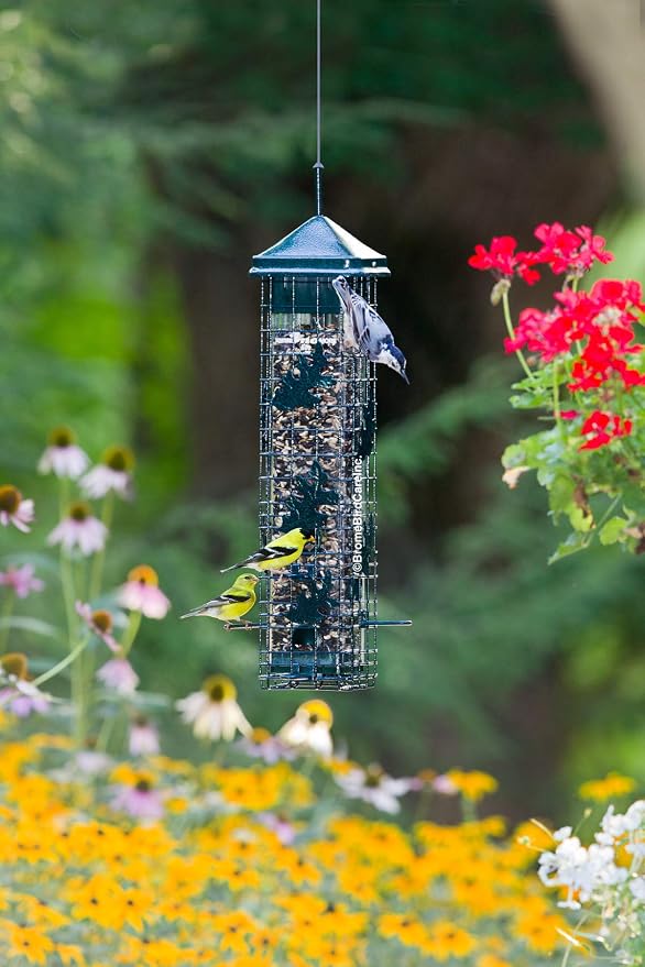 Squirrel Solution200 Squirrel-proof Bird Feeder w/6 Feeding Ports, 3.4-pound Seed Capacity, Free Seed Funnel | Powder-Coated Metal Shroud, Spring-Loaded Weight-Closing, Polycarbonate Tube, Includes Seed Funnel