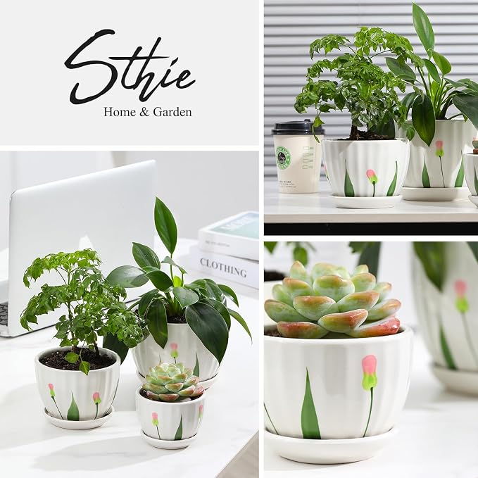 STHIE Ceramic Plant Pots with Drainage Holes and Saucers, Round White Flower Pots for Indoor Plant, Diameter 3.3/4.3/5.5 Inches Small Flower Planters Set of 3
