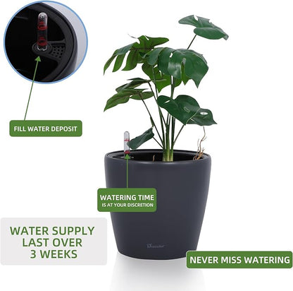 Dexceder 11x10 Self Watering Planter (Slate Gray Matte) | Inner Pot Design, Thickened Table Flower Plant Pot with Water Level Indicator Indoor Outdoor