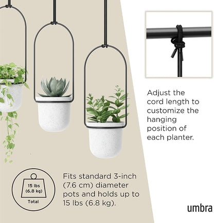 Umbra Triflora Hanging Planter for Window, Indoor Herb Garden, Set of 3, White/Black (Pack of 3)