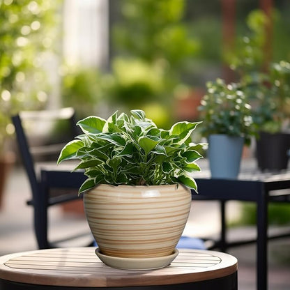 Ceramicfor 6 Inch Plant Pot Ceramic - Decorative Planter for Indoor Plants Succulent Pot with Drainage Hole and Saucer Round Planter Outdoor Flower Pot for House Patio Yellow