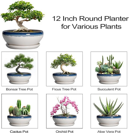 SQOWL Bonsai Tree Pots - 12 Inch Ceramic Succulent Planters, Large Bonsai Pot with Drainage Hole and Tray, Shallow Planter Indoor, Bowl Round Planter, Home Decor, Plant Lover Gift, Blue Off-White