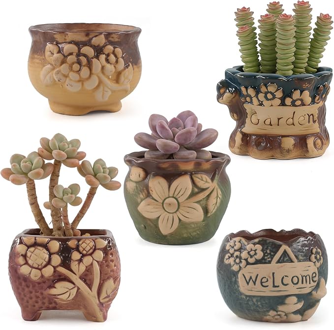 Succulent Ceramic Garden Pots Small Plant Planter Container with Drainage Set of 5 for Home Office Decor