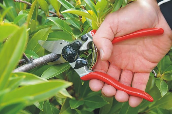Felco Pruning Shears (F 6) and (F 310) - High Performance Swiss Made One-Hand Garden Pruners