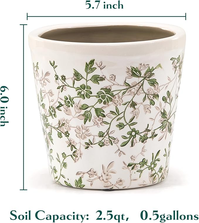 Teweiqi Ceramic Planter with Drainage Hole, Plastic Tray & Mesh, 6 Inch - Indoor/Outdoor Flower Pot for Orchids, Succulents, Green Floral Modern Farmhouse Décor for Home,Office and Garden, Ideal Gift