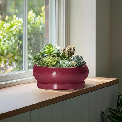 Bonsai Tree Pots 13 Inch - Ceramic Bonsai Pots with Drainage Hole and Tray, Large Succulent Planters Indoor, Round Bowl Planter Outdoor, Shallow Planter, House Decor, Birthday Gifts, Wine Red