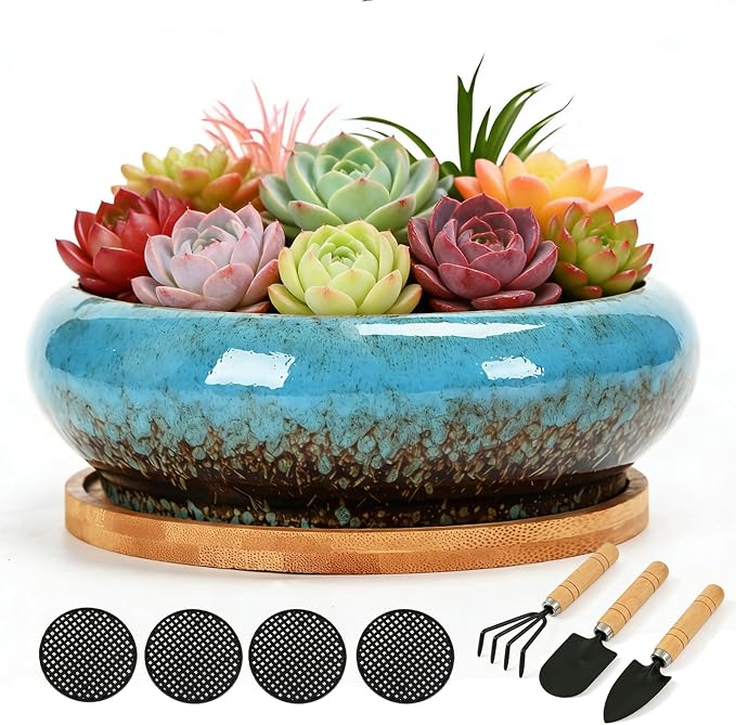 Drzewo Succulent Pots, Succulent Pots with Drainage & Bamboo Tray, 7-Inch Ceramic Drip Glazed Shallow Planter Container Bowl for Indoor Outdoor Plants, Decorative Garden Cactus Flower