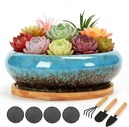 Drzewo Succulent Pots, Succulent Pots with Drainage & Bamboo Tray, 7-Inch Ceramic Drip Glazed Shallow Planter Container Bowl for Indoor Outdoor Plants, Decorative Garden Cactus Flower