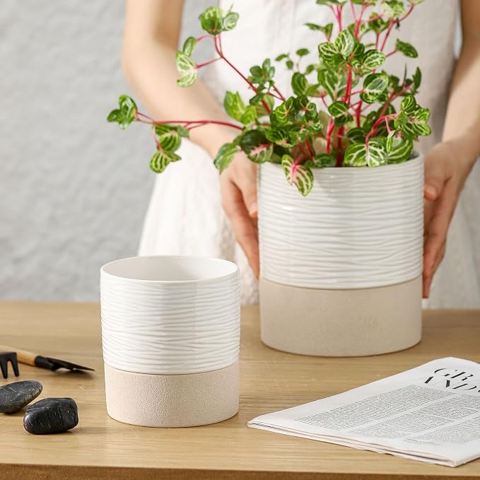 Nihow Ceramic Self Watering Plant Pot for Indoor Plants, 4.5+6 Inch | Planter with Cotton Wick, Drainage Hole & Water Storage Plus, Cylinder Round Flower Pot, For Succulent/Herbs/Violets