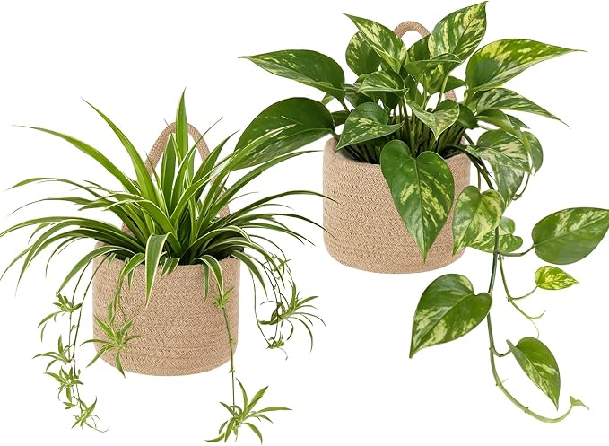 Dahey Small Hanging Baskets with Plastic Wall Planters Woven Wall Baskets for Indoor Plants Flowers, Boho Farmhouse Rustic Storage Organizer for Bedroom Living Dining Room Decor(No Plant Included)