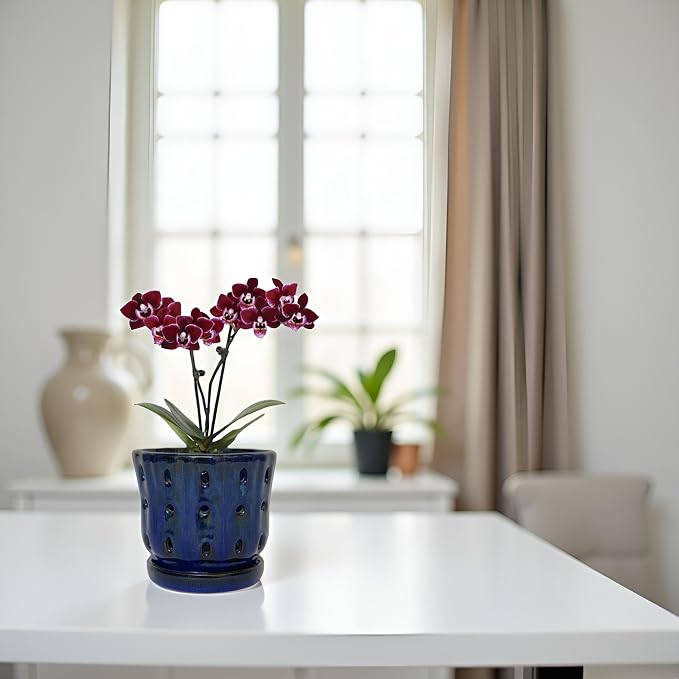 Orchid Pots 4.9 inch Ceramic Orchid Pots with Holes and Draiange Hole Orchid Planter Set of 2 (Dark Blue)