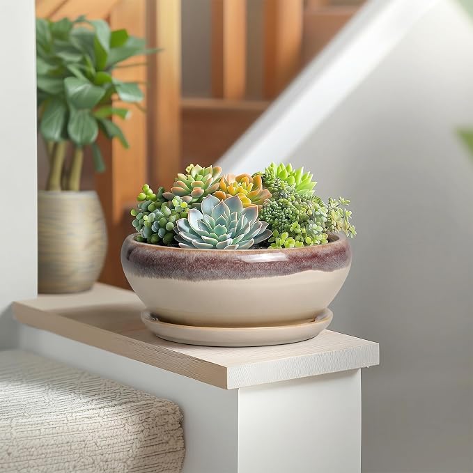 SQOWL Succulent Pots 8 Inch - Ceramic Bonsai Pots for Indoor Plants, Round Shallow Plant Pot with Drainage Hole and Saucer, Bowl Planter Outdoor, Patio Decor, Plant Lover Gifts, Beige
