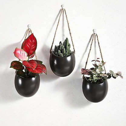 Set of 3 Ceramic Wall Planters Decor Small Hanging Vases Lovely Flower Pots | Wall Decor for Home, Entryway, Hallway, Deck, Bathroom, Living Room, Dining Room, Garden, Farmhouse, Restaurants, Office, etc