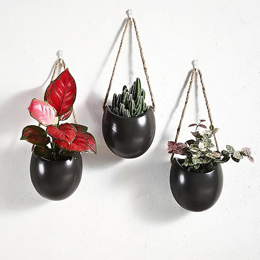 Set of 3 Ceramic Wall Planters Decor Small Hanging Vases Lovely Flower Pots | Wall Decor for Home, Entryway, Hallway, Deck, Bathroom, Living Room, Dining Room, Garden, Farmhouse, Restaurants, Office, etc