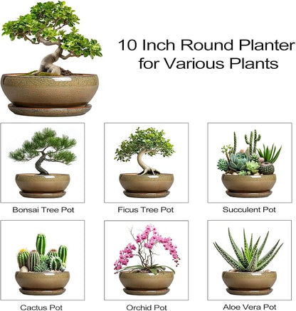 SQOWL Bonsai Planter - 10 Inch Ceramic Succulent Pots, Shallow Plant Pot Indoor with Drainage Hole and Saucer, Ceramic Bonsai Pots, Round Planter Bowl Outdoor, House Decor, Plant Lover Gifts, Brown