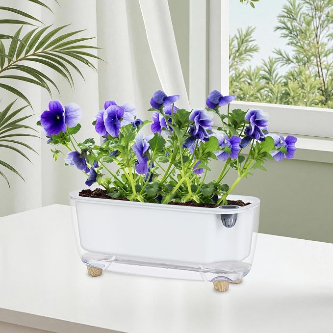 Oliz Self-Watering Planter with Coco Coir, Clear Modern Rectangular Pot | 11.8 * 4.6 inch, Decorative Flower Pot for Indoor Plants, Windowsill Plant Pot with Drainage Holes, African Violets Pots