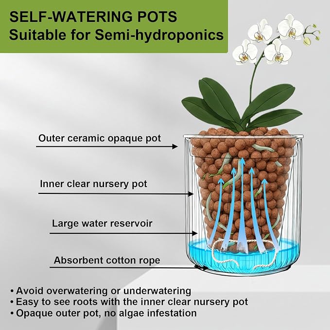 2 Pack of 4in Ceramic Cachepot with 4 inch Clear nusery Pot - self Watering Indoor Planter with Drainage for Root Visibility,semi Hydro pots for repotting Succulent,White