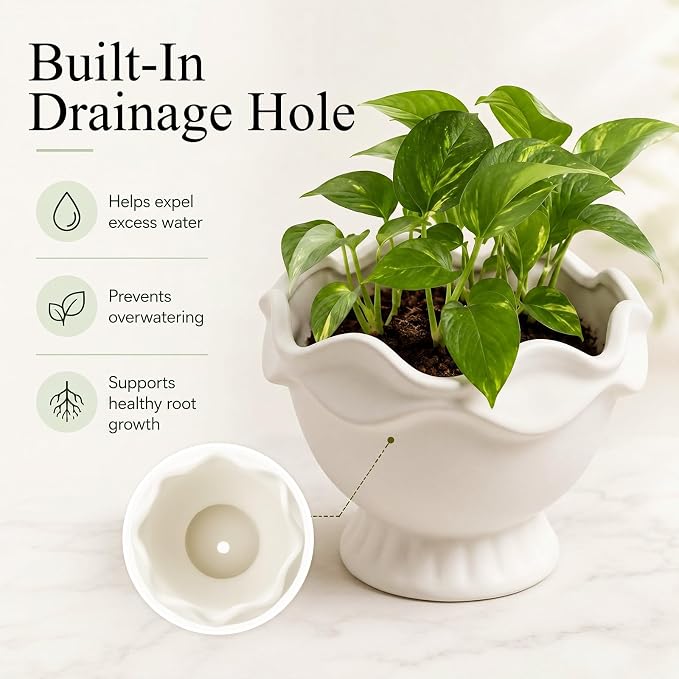 1 Pack White Ceramic Plant Pots Small Rustic Decorative Planter Home Decor Scalloped Modern Flower Planter for Farmhouse Outdoor Garden Indoor Home Decor (6.3in, Novel)