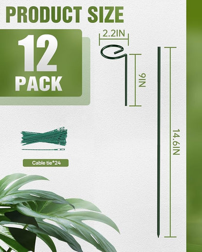 12 Pack 24 Inch Plant Support Stakes for Outdoor Plants and Indoor Flowers | Includes 24 Twist Ties, Sturdy metal, Rust-proof, Adjustable height, Supports Hibiscus,Sunflower,Hydrangea,Tomato,and more