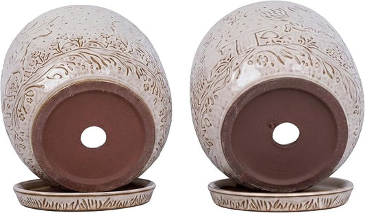 Claybourne Embossed Terracotta Plant Pots with Drainage Hole & Saucer, 4/6/8 Inch, Indoor/Outdoor Planter with Pebbles (White（Forest Elf）, 6 inch)