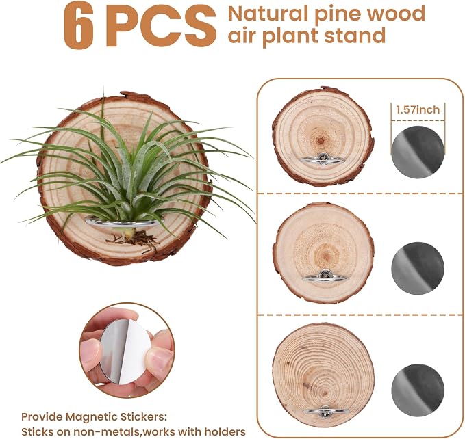 Magnetic Air Plant Holder, Natural Wood Slices Refrigerator Magnet Live Air Plant Holders, Modern Farmhouse Wall Decor for Living Room Bedroom Kitchen Office Home Garden (6 Pack)