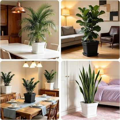 BTPLASTIK 10 Inch Square Planters with Saucers 5 Pack, Heavy Duty Black Plant Pots, Air Pruning & Super Ventilation, Anti-Crack Garden Pots for Indoor Outdoor Orchids Vegetables Trees