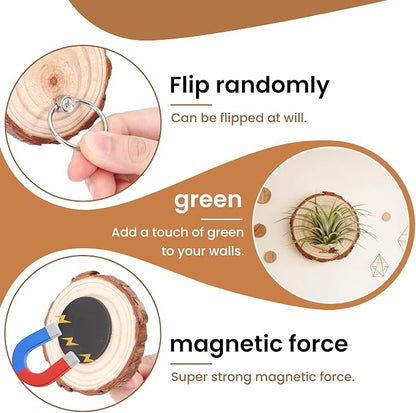 Magnetic Air Plant Holder, Natural Wood Slices Refrigerator Magnet Live Air Plant Holders, Modern Farmhouse Wall Decor for Living Room Bedroom Kitchen Office Home Garden (3 Pack)