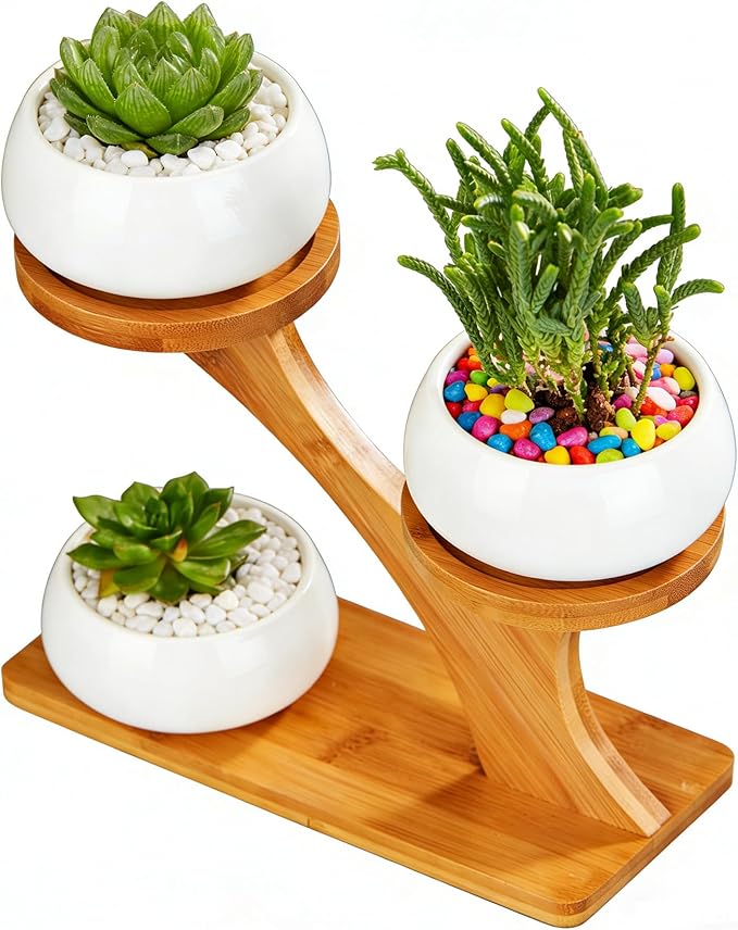 FLOWERPLUS Planter Pots Indoor, 3 Pack 3 Inch White Ceramic Decorative Small Round Succulent Cactus Flower Plant Pot with Tree Tier Bamboo Stand for Garden Kitchen Home Office Desk Decorations
