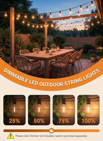 25FT G40 LED Brown Outdoor String Lights with 25 Plastic Shatterproof Bulbs | 2700K Warm White, IP65 Waterproof Hanging Connectable Globe Lights for Patio Garden Porch Pergola Bistro Decor, Brown Wire