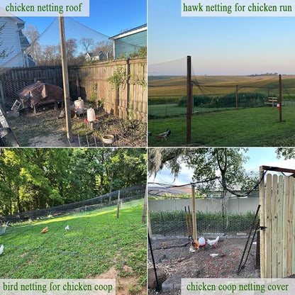 Bird Netting for Chicken Coop 15x15Ft, 1/2" Mesh, Strong Woven Poultry Netting Roof Cover for Chicken Run, Heavy Duty Bird Net for Fruit Trees, Blueberry, Vegetables, Garden Protection