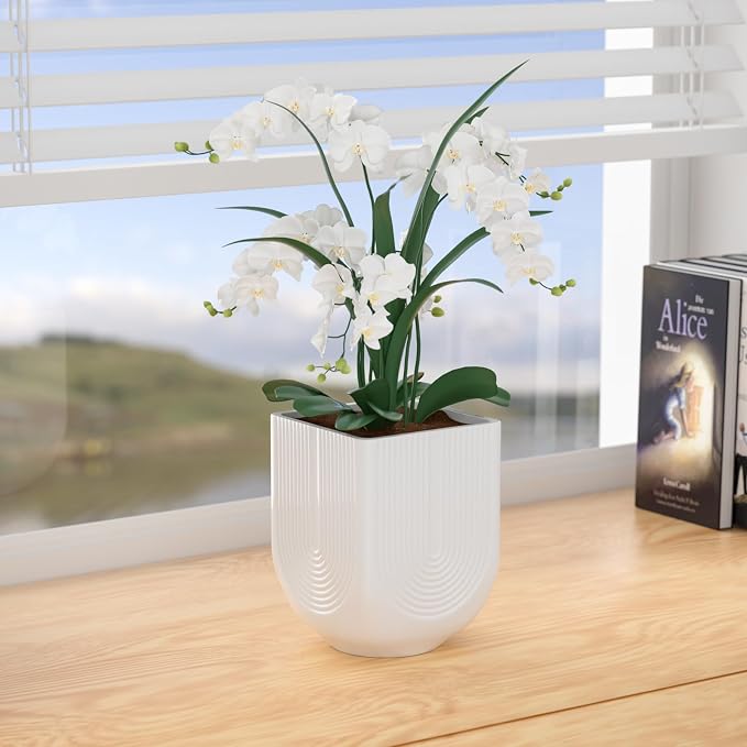Ceramic Planter, 6 Inch Plant Pot with Drainage, Matte White | Indoor Outdoor Use, Flower Pot for Plants, Home Garden Decor, Lightweight Durable Ceramic