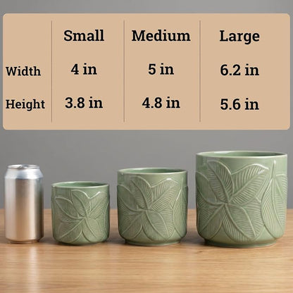 Ceramic Pots for Plants Set of 3, 6, 5, 4 Inch Diameter with Drainage Holes | Thick Durable Ceramic Pots, Plant Pots with Drainage Holes, Mesh Pads, Drain Plugs & Anti-Scratch Pads, Decorative Flower Pot