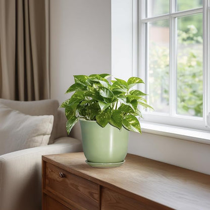 5.6 Inch Plant Pot - Ceramic Pots for Plants Indoor Outdoor, Round Orchid Succulent Pot with Drainage Hole and Saucer, Modern Small Planter, Home Room Window Decor, Plants Lover Gift, Green