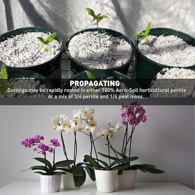 AeroSoil Perlite Premium Horticultural Grade Soil Additive Drainage and Growth - Coarse 4 Cubic Foot