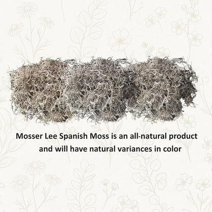 Mosser Lee Spanish Moss – Natural Decorative Moss for Houseplants, Soil Cover, Crafts, Terrariums & Floral Arrangements - 400 Cubic Inches (Approx 9oz)