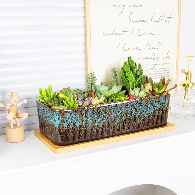Succulent Pots - 12 Inch Large Succulent Planters with Drainage Tray, Window Sill Planter, Long Rectangle Ceramic Pots for Indoor Cactus Plants Shallow Bonsai Window Box for Home Garden Decor