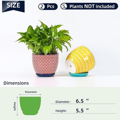 Selamica Ceramica Plant Pots, 6.5 Inch Flower Pots Set of 2 with Drainage Holes & Saucer, Planters for Indoor Plants, Home Decor, Assorted Colors