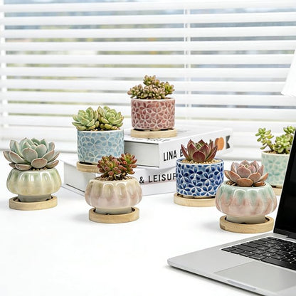 8 Pcs Succulent Pots with Ice Crack Glaze, 2 Shapes & 8 Colors Ceramic Succulent Planters with Drainage Holes & Bamboo Saucers, Indoor Plant Pots for Home Garden，Desk Decor, Office Decor, Gift Idea