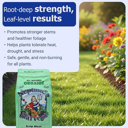 Neptune’s Harvest Organic Kelp Meal Plant Food (1-0-2) - 4 lb Resealable Bag - Multi-Purpose Seaweed Fertilizer - Indoor & Outdoor Plant Fertilizer for Lawns, Gardens, Vegetables & Bulbs