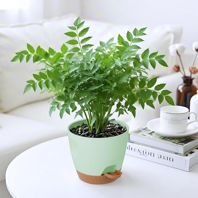 Self Watering Plant Pots with Drainage & Saucers, 5-Pack 7/6.5/6/5.5/5 in - Plastic Flower Pots for Indoor Plants, Succulents & Herbs, Planters for Indoor Outdoor & Balcony (Green)