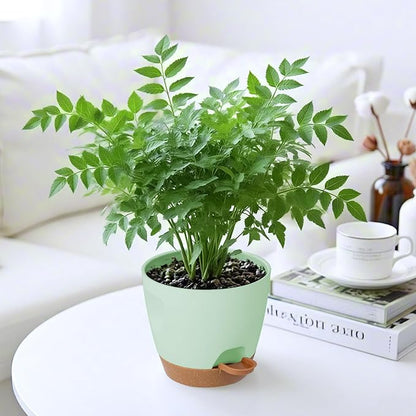Self Watering Plant Pots with Drainage & Saucers, 5-Pack 7/6.5/6/5.5/5 in - Plastic Flower Pots for Indoor Plants, Succulents & Herbs, Planters for Indoor Outdoor & Balcony (Green)