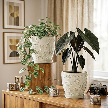 Hollyone Set of 3 White Ceramic Planter 6 Inch Flower Plant Pot with Drainage Hole and Saucer for Plants Embossed Indoor Outdoor Garden Embossed Ceramic Glazed Round Pot for Succulent Orchid