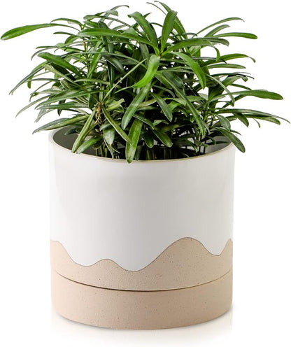 Nihow Ceramic Plant Pot,6 Inch Planter with Drainage Hole&Saucer for Indoor | White & Nature,Indoor & Outdoor, Cylinder Round Flower Pot, For Succulent/Herbs/Violets