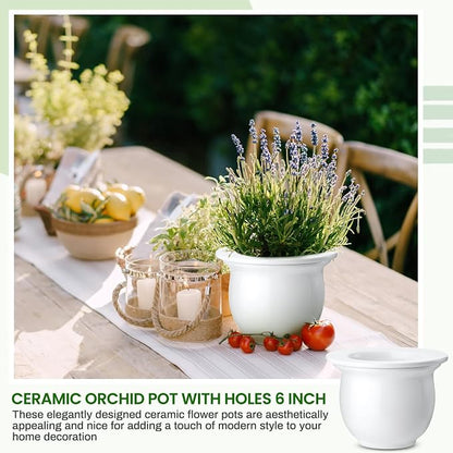 Suclain 2 Pack Ceramic Self Watering Plant Pot African Violet Pots Self Watering Indoor Flower Pot Efficiently Store Water for at Least One Week Modern Decor Gift(White,6.5 Inch)