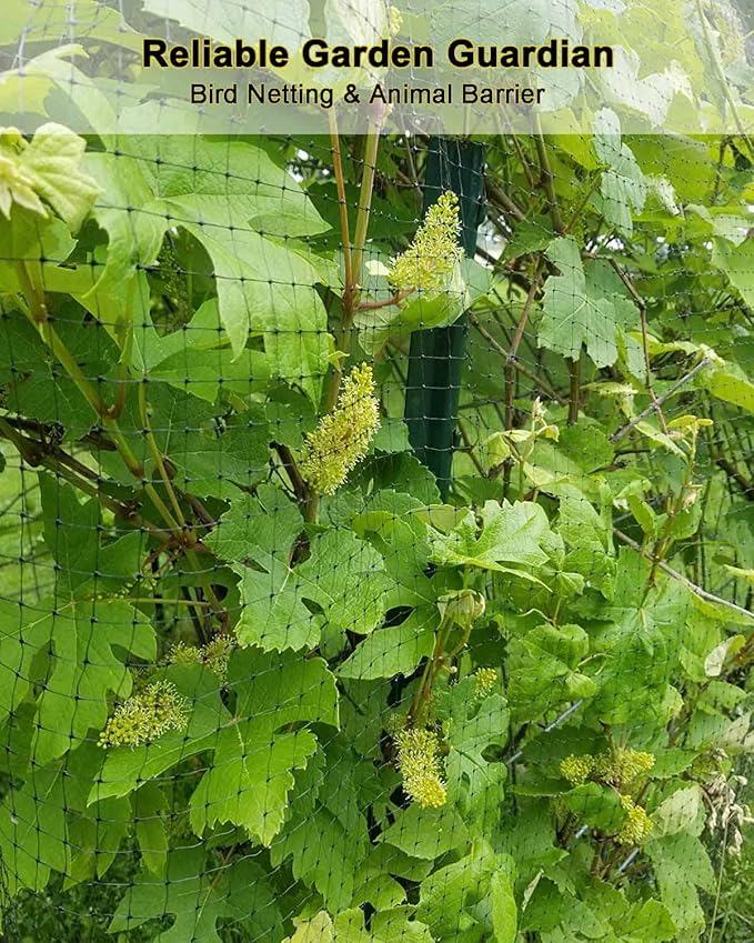 KLEWEE Bird Netting, 13 x 33 FT Heavy Duty Garden Netting Fine Mesh for Protect Fruit Trees, Plants and Vegetables from Birds, Deer, Squirrels and Other Animals