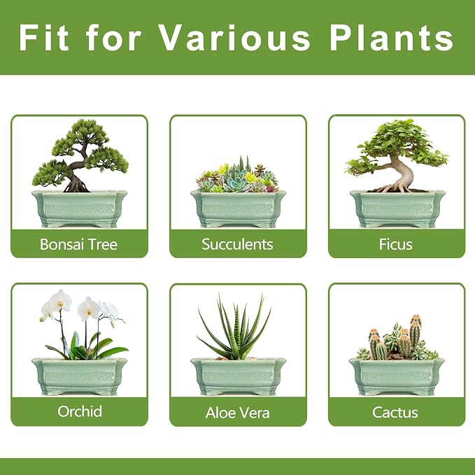Bonsai Tree Pot 11.6 Inch - Ceramic Succulent Pots, Bonsai Planter for Indoor Outdoor, Decorative Plant Pot with Drainage Hole, Rectangular Flower Pot, Home Garden Decor, Garden Gifts, Green