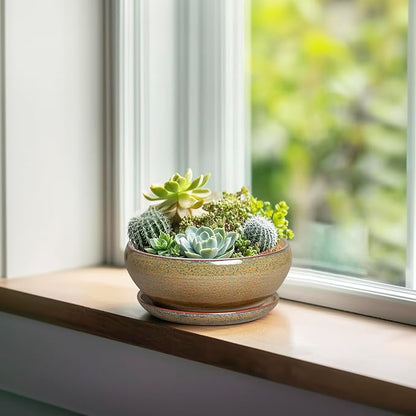 SQOWL Bonsai Pots Small - 6 Inch Ceramic Succulent Pots with Drainage Hole and Saucer, Shallow Round Planter for Indoor Plants Outdoor, Ceramic Cactus Planter, Patio Decor, Housewarming Gift, Brown