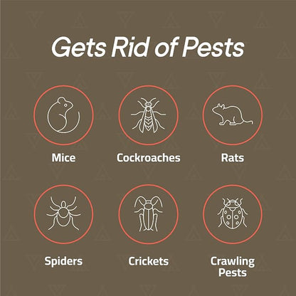 Campior Glue Traps [36 Pack] Pre-Baited Mouse Traps - Ultra-Adhesive Glue Boards for Rodents/Mice, Rats/Snakes/Lizards/Insects - Safe Non-Toxic Sticky Mouse Traps Indoors for Home Office, Garage.