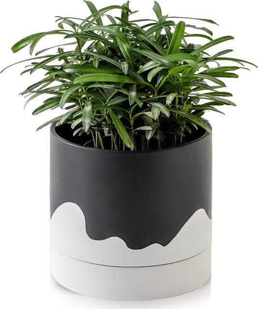 Nihow Ceramic Plant Pot,6 Inch Planter with Drainage Hole&Saucer for Indoor | Black &White,Indoor & Outdoor, Cylinder Round Flower Pot, For Succulent/Herbs/Violets
