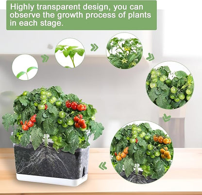 Oliz 4pk Self-Watering Windowsill Planters, Clear Plastic w/Drainage Holes | 7.8"x5.4"x4", Rectangular Flower Pots, Plant Growth Observation Box for Kids